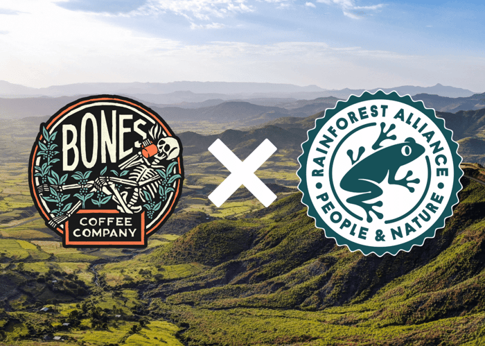 Single Origin: Ethiopia